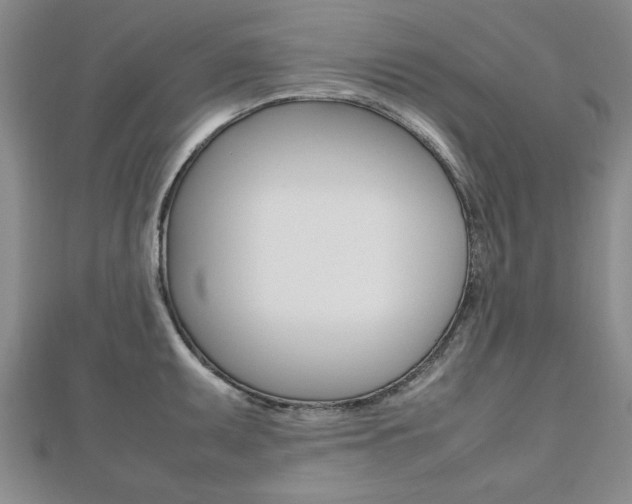 X0000112471095200908170945