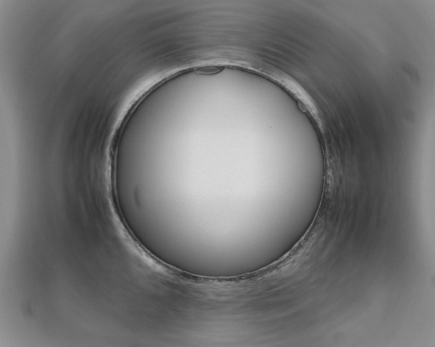X0000112471096200908170945