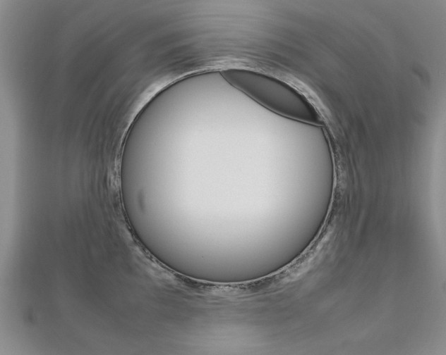 X0000112471097200908170945
