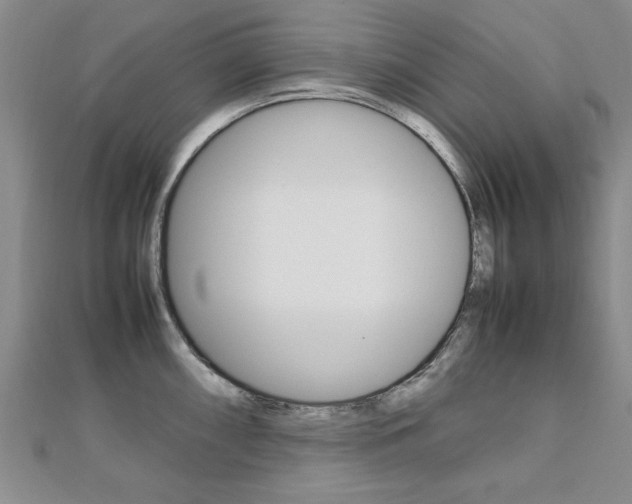 X0000112471098200908170945
