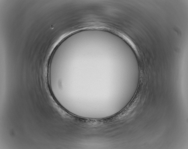 X0000112471099200908170945