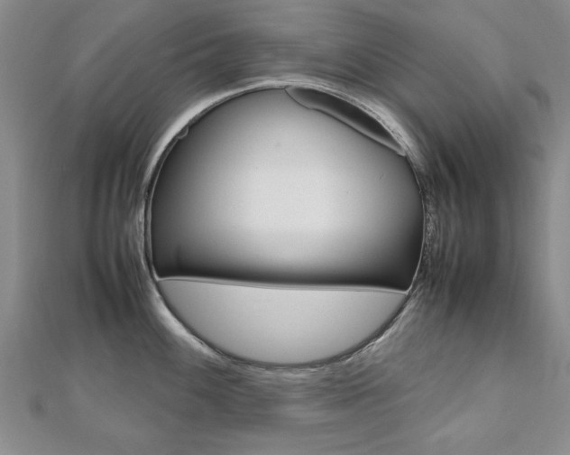 X0000112471100200908170945