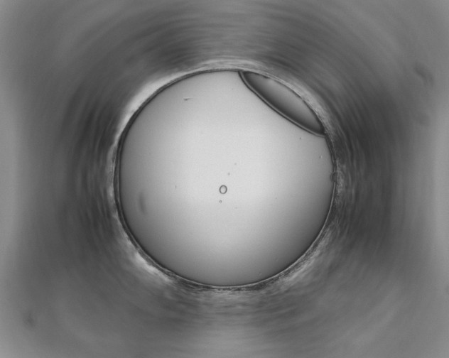 X0000112471102200908170945
