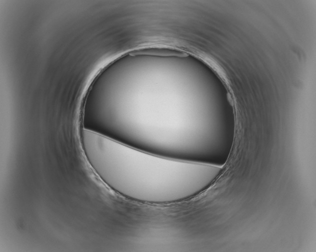 X0000112471104200908170945
