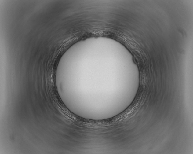X0000112471106200908170945