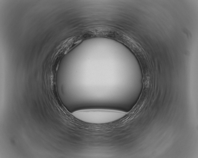 X0000112471108200908170945