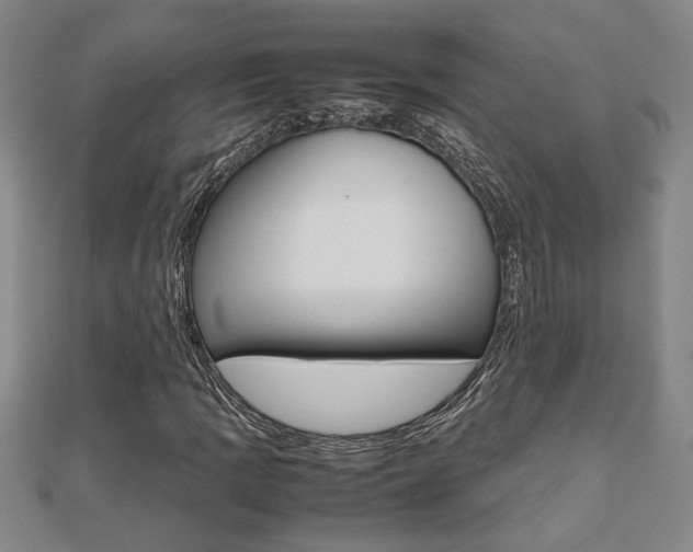 X0000112471109200908170945