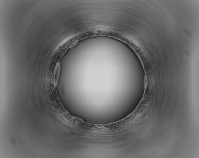 X0000112471112200908170945