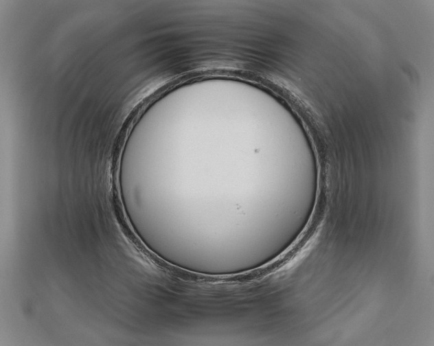 X0000112471113200908170945