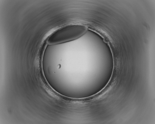 X0000112471114200908170945