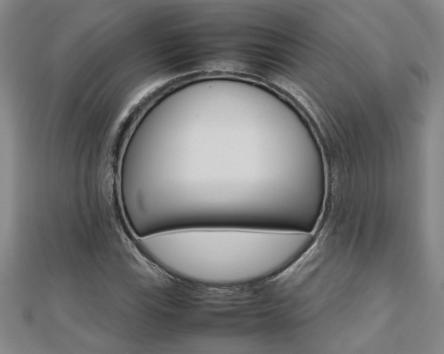 X0000112471115200908170945