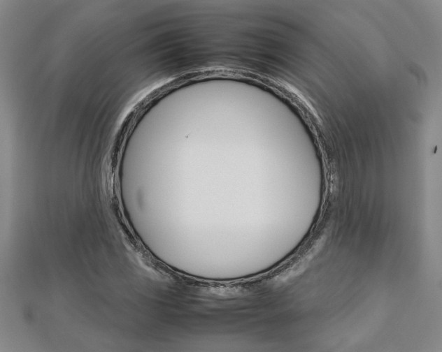 X0000112471117200908170945