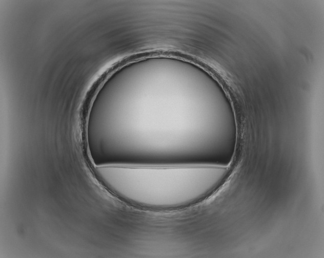 X0000112471118200908170945