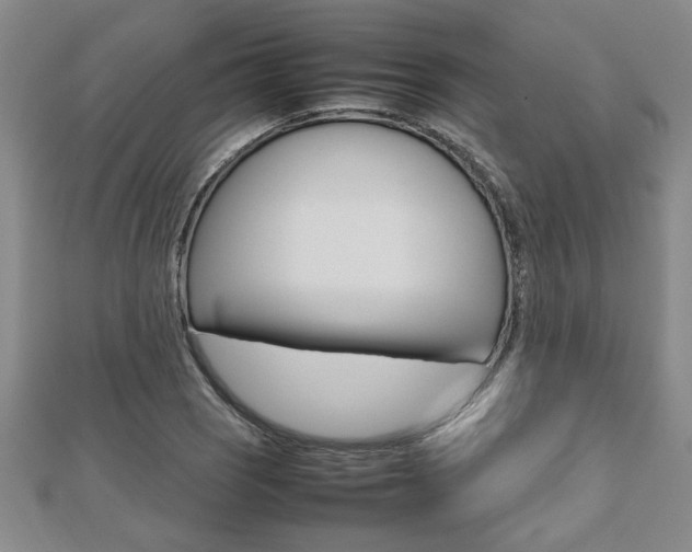 X0000112471121200908170945