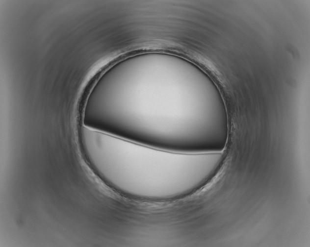 X0000112471122200908170945