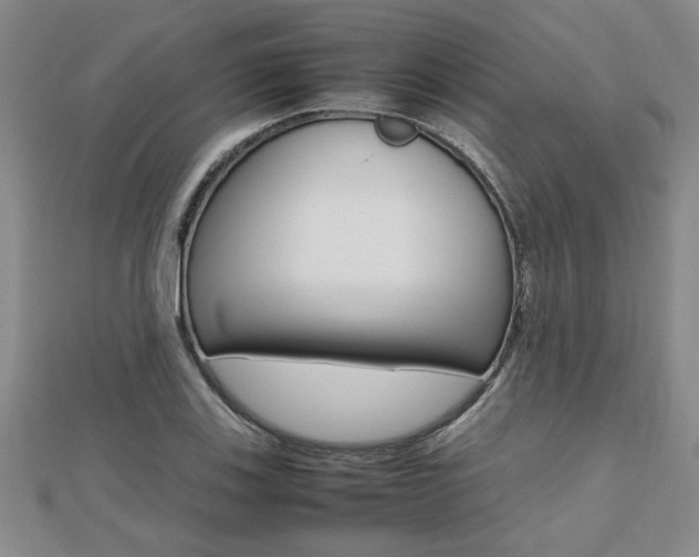 X0000112471123200908170945