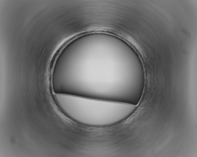 X0000112471124200908170945