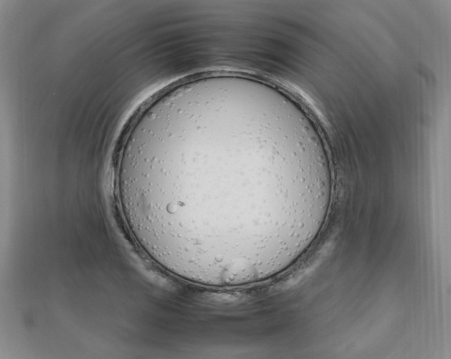 X0000112471125200908170945