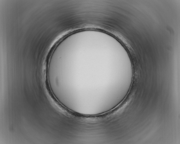 X0000112471126200908170945