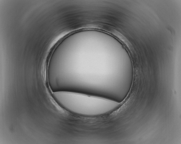 X0000112471127200908170945