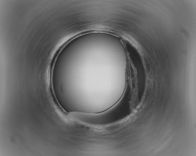 X0000112471128200908170945