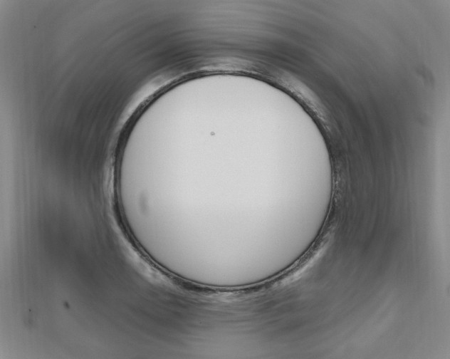 X0000112471130200908170945