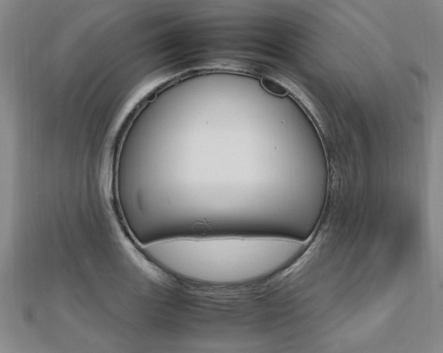 X0000112471131200908170945