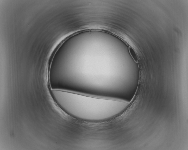 X0000112471132200908170945