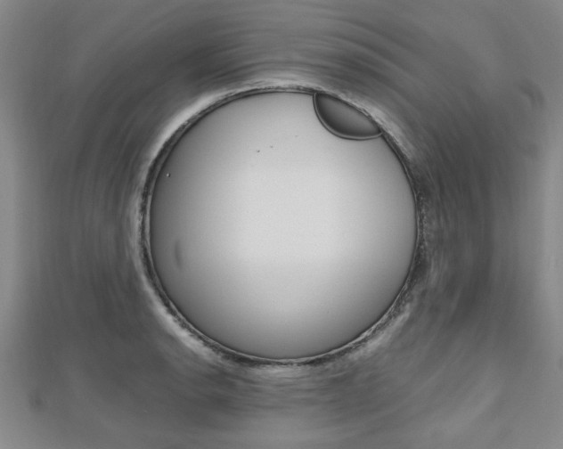 X0000112471134200908170945