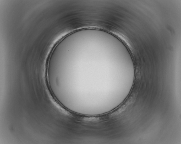 X0000112471135200908170945
