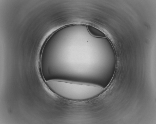 X0000112471136200908170945