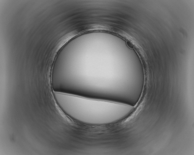 X0000112471137200908170945