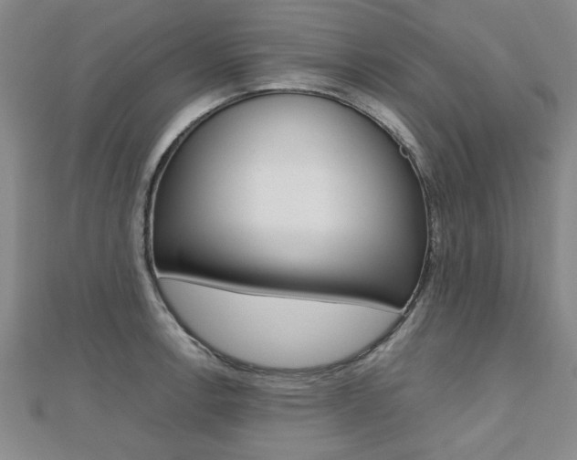 X0000112471138200908170945