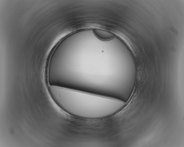 X0000112471139200908170945
