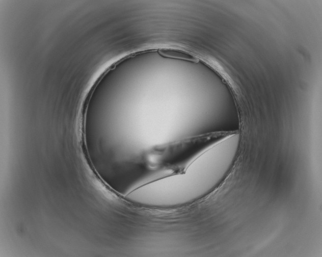 X0000112471140200908170945