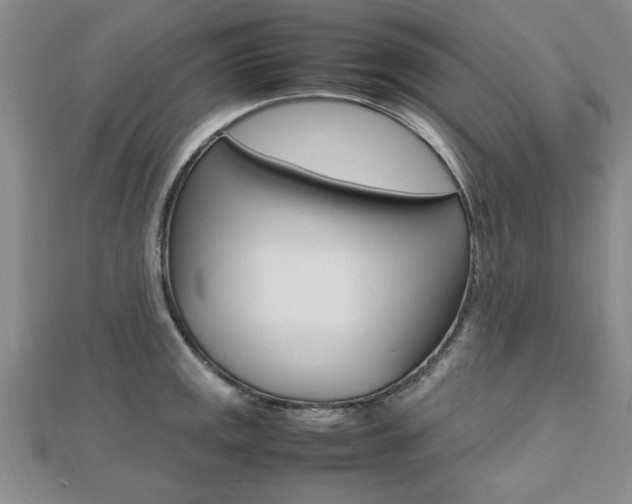 X0000112471141200908170945