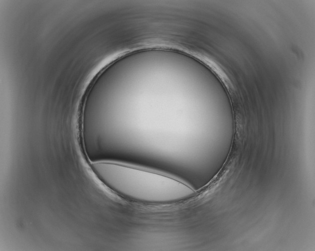 X0000112471142200908170945