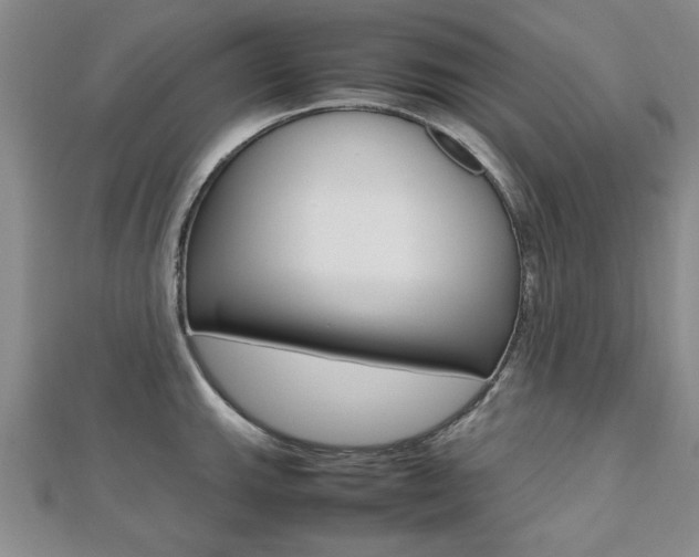X0000112471143200908170945