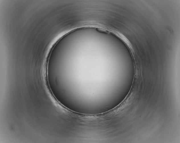 X0000112471144200908170945