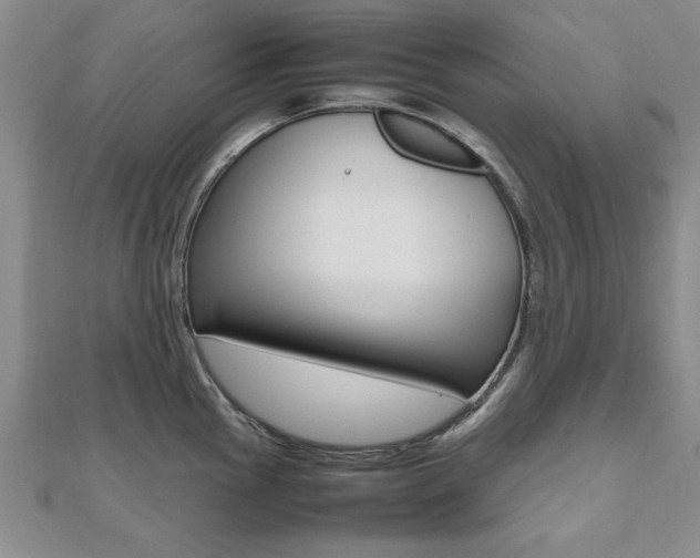 X0000112471145200908170945
