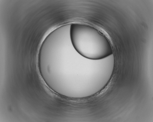 X0000112471146200908170945