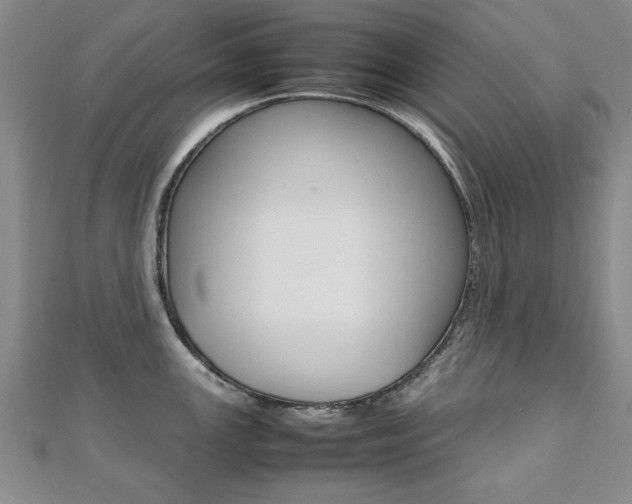X0000112471147200908170945