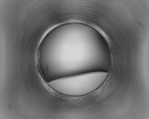 X0000112471148200908170945