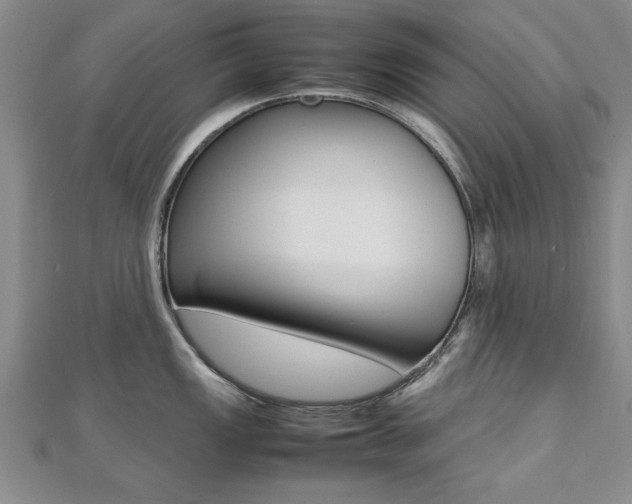 X0000112471149200908170945