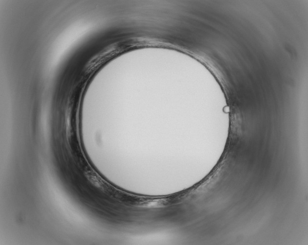 X0000112471150200908170945