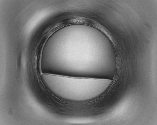 X0000112471151200908170945