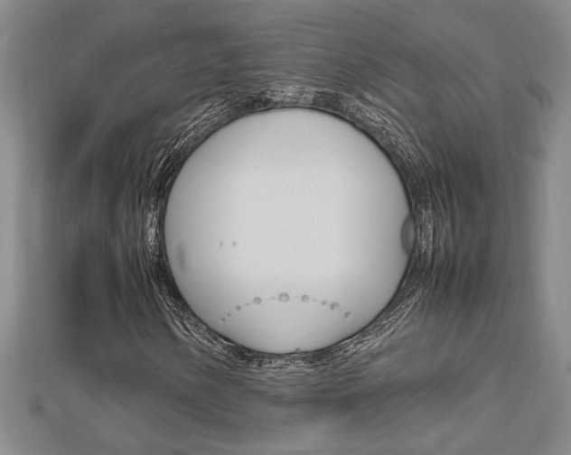 X0000112471154200908170944