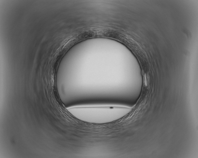 X0000112471155200908170944