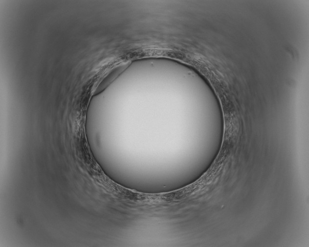X0000112471157200908170944