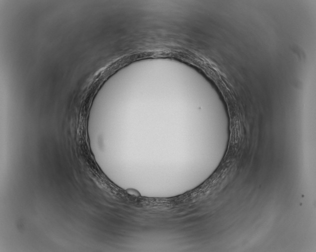 X0000112471158200908170944